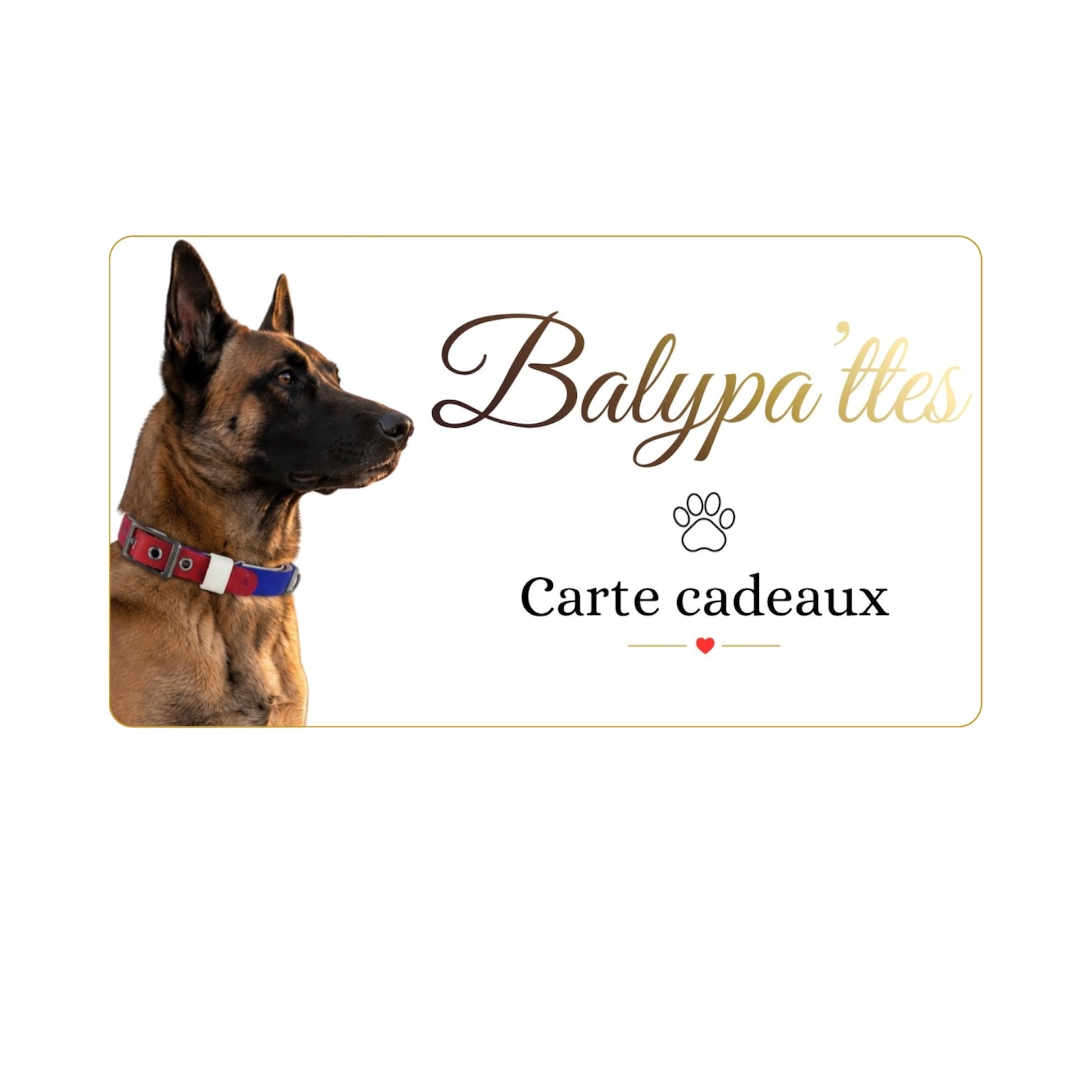 CARTES CADEAUX