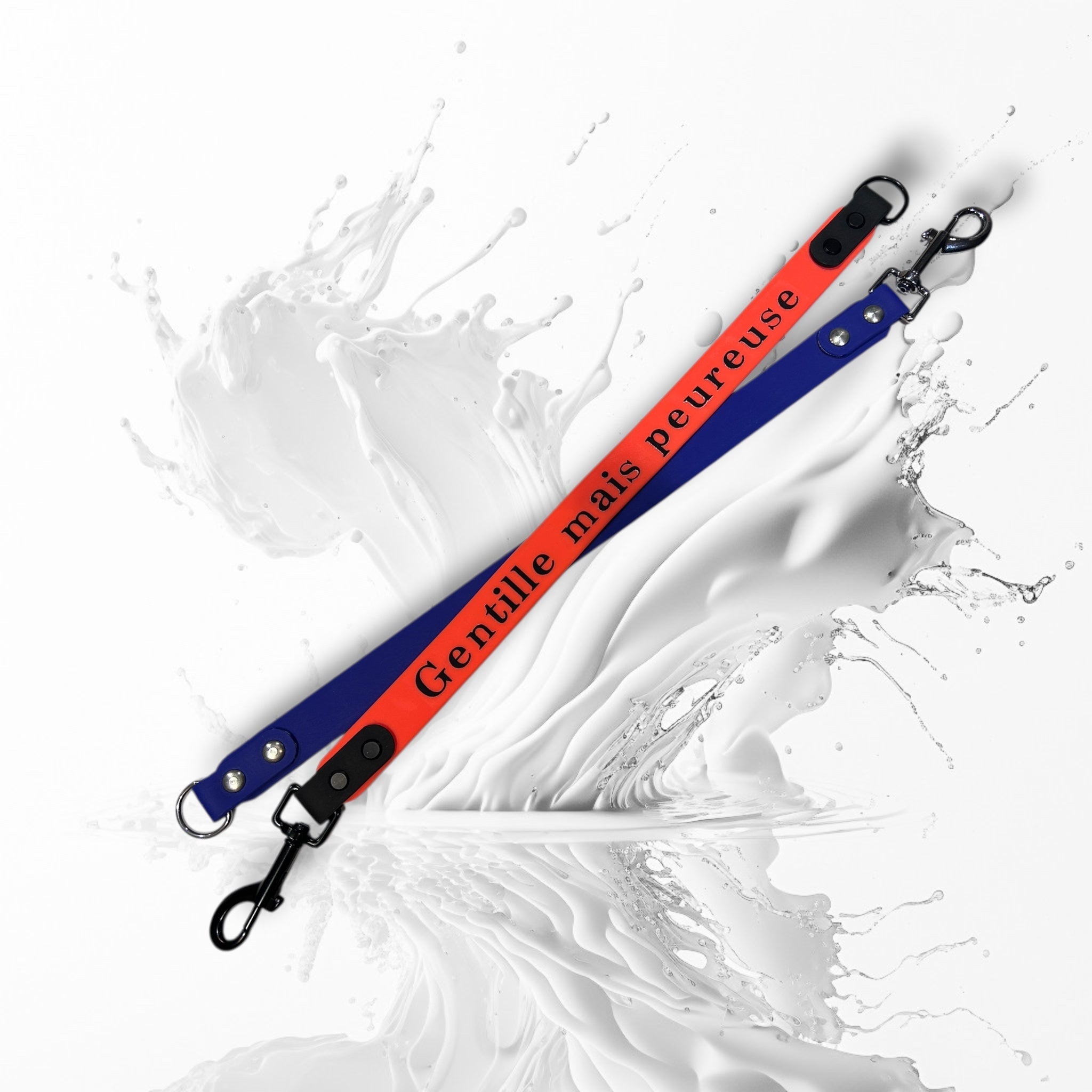 Les extensions de laisse