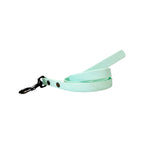 Laisse personnalisée pour chien visiteur, unie en hexa