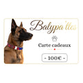 Carte cadeau