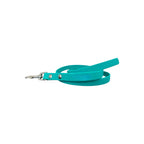 Laisse personnalisée pour chien visiteur, unie en biothane