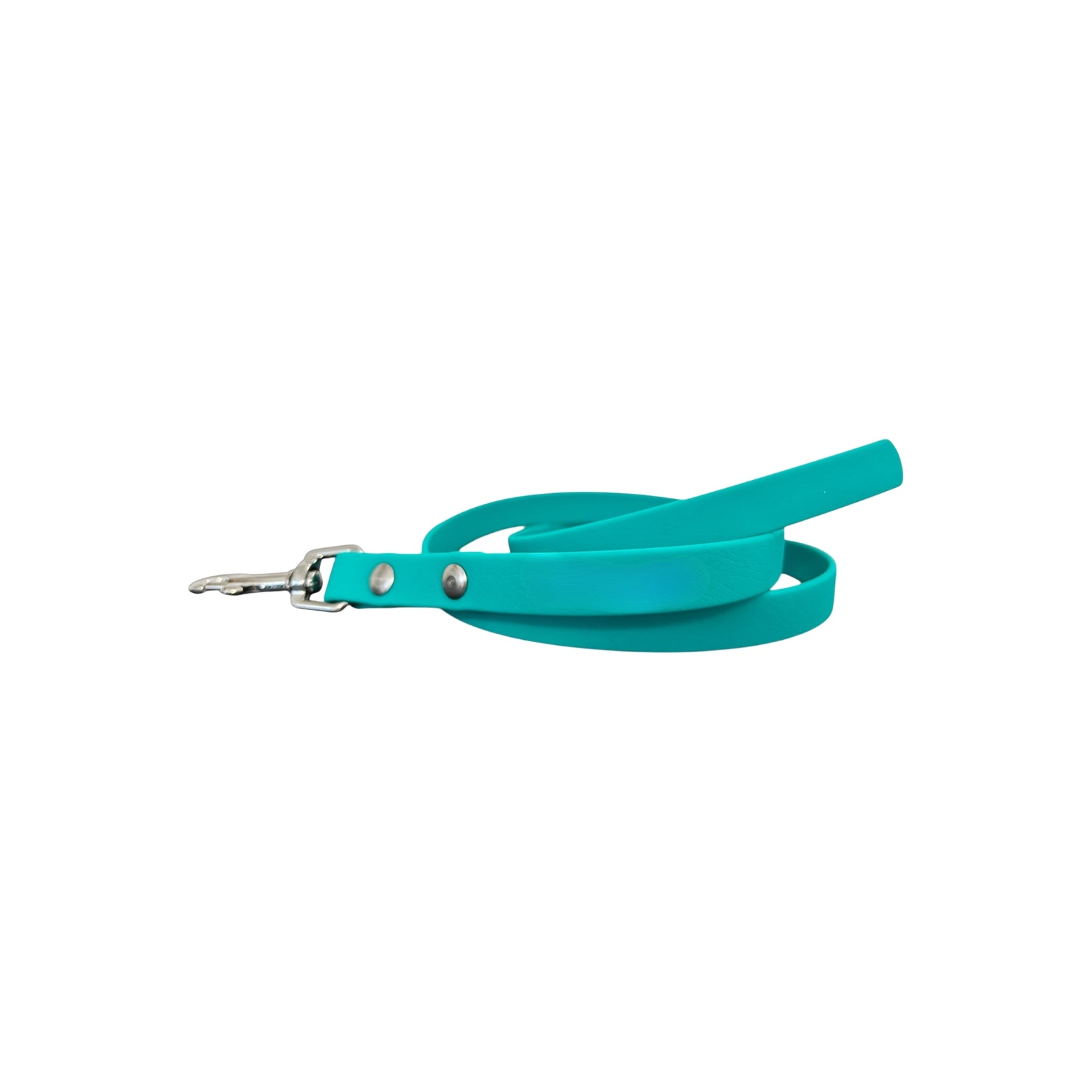 Laisse personnalisée pour chien visiteur, unie en biothane