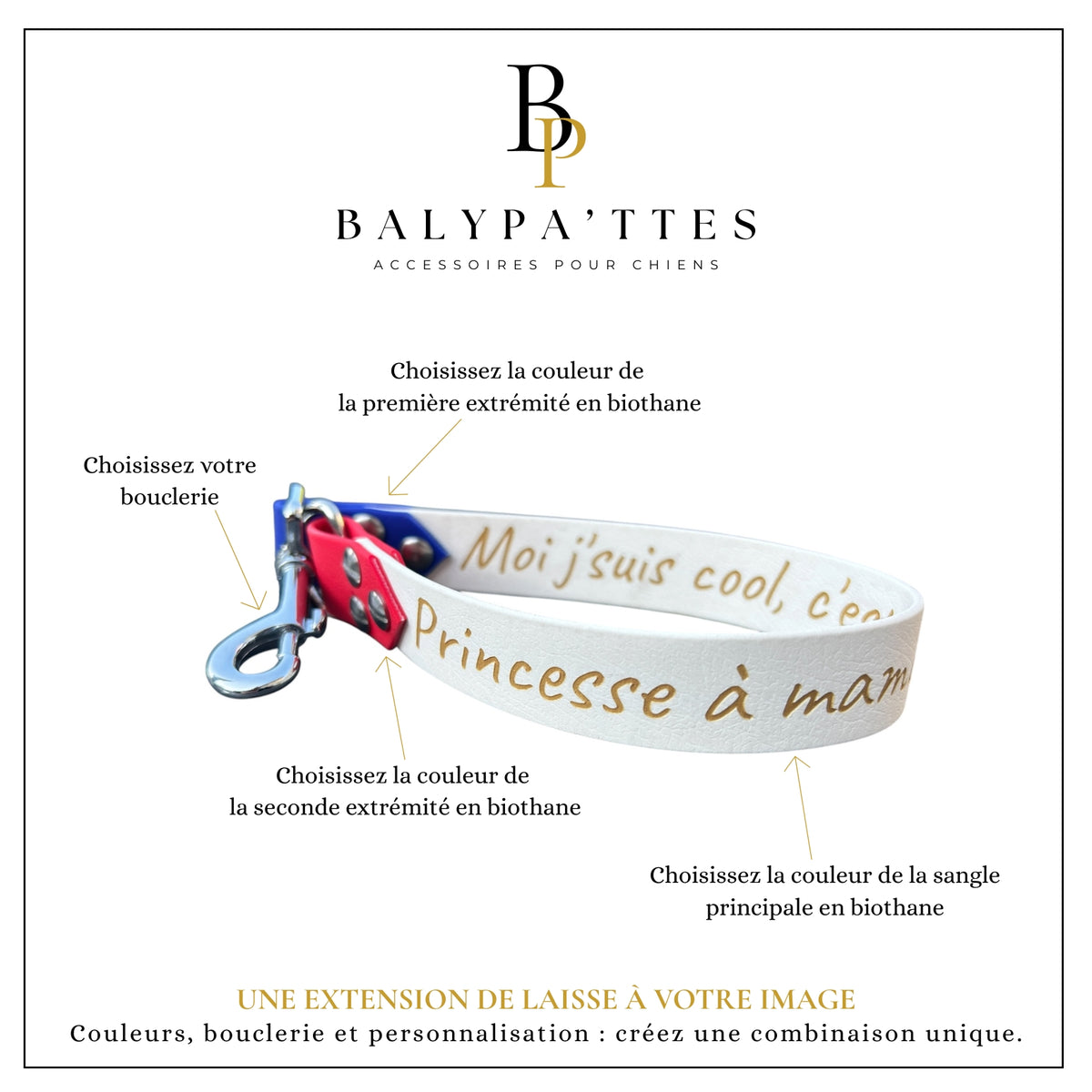 Extension de laisse personnalisée pour chien, tricolore en biothane, en 16mm