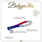 Poignée personnalisée pour chien, tricolore en biothane, en 25mm