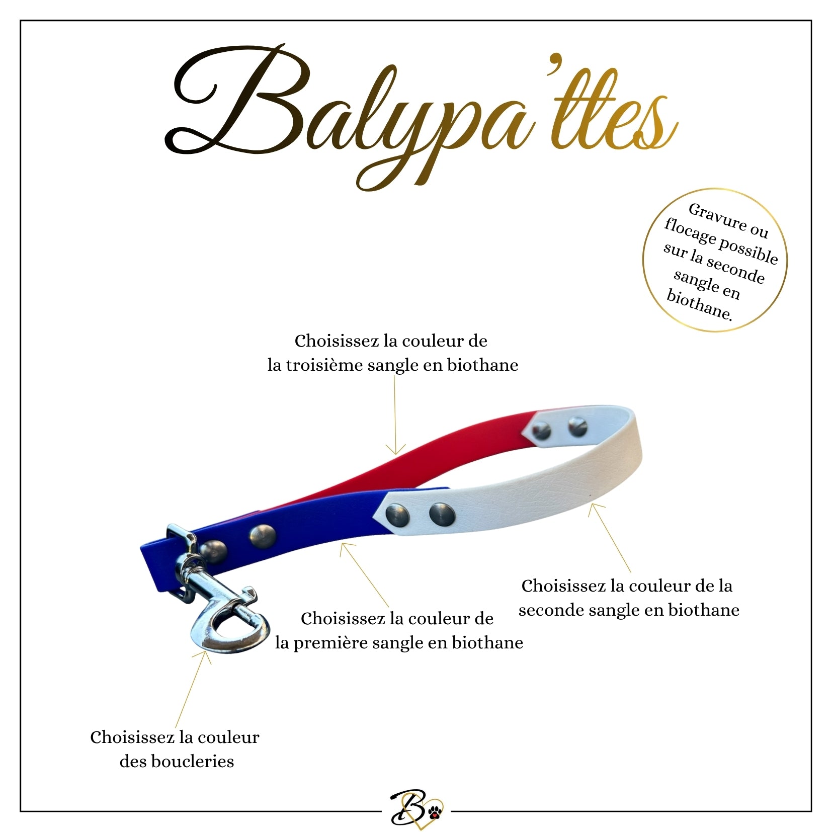 Poignée personnalisée pour chien, tricolore en biothane, en 25mm