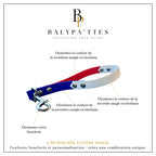 Poignée personnalisée pour chien, tricolore en biothane, en 16mm
