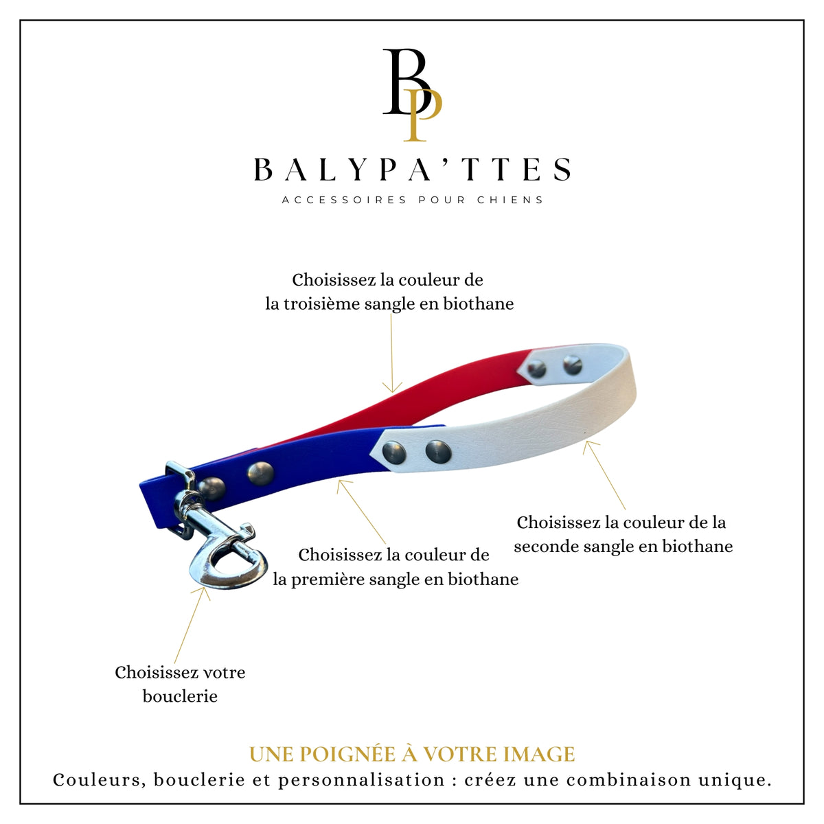 Poignée personnalisée pour chien, tricolore en biothane, en 16mm