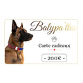 Carte cadeau