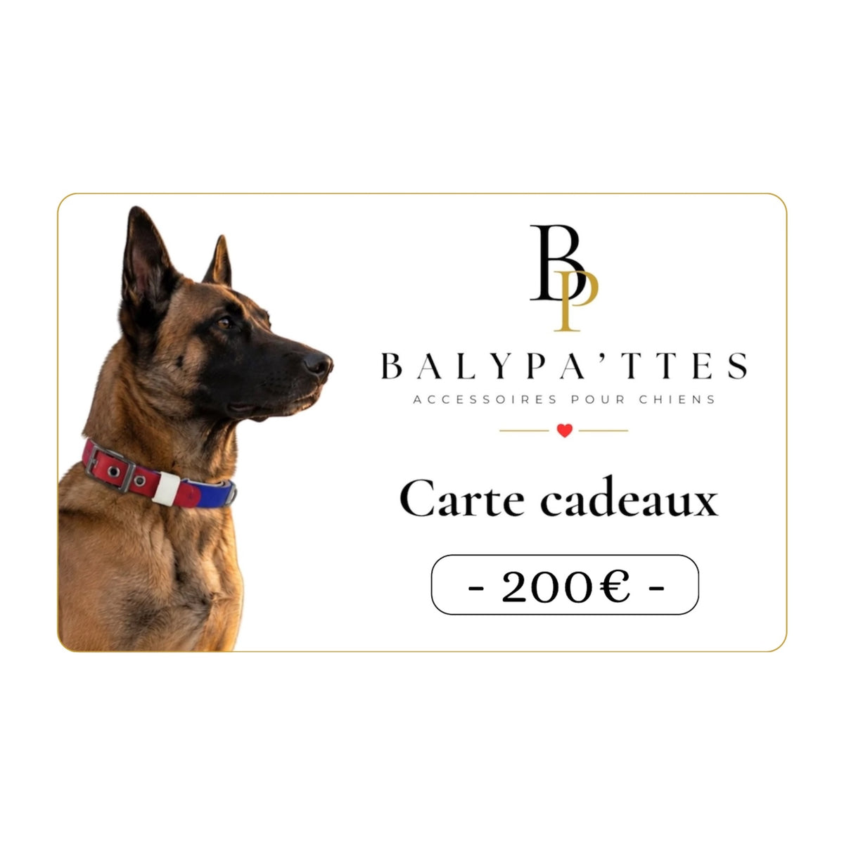Carte cadeau