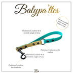 Poignée personnalisée pour chien, bicolore en hexa avec séparateur, en 20mm
