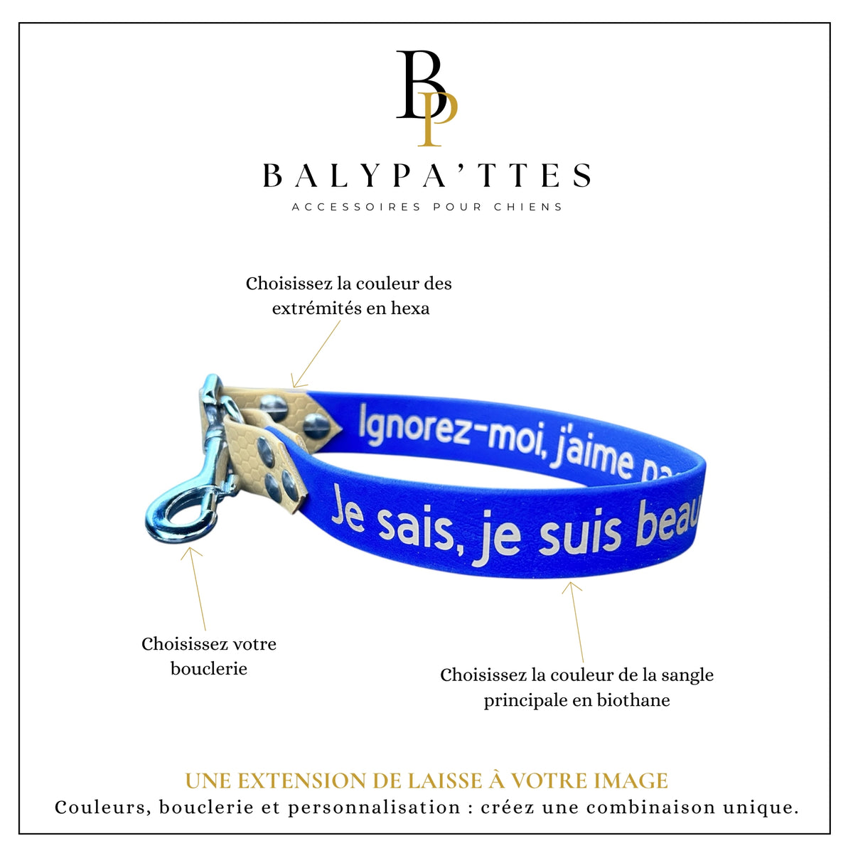 Extension de laisse personnalisée pour chien, bi-matière, en 16mm
