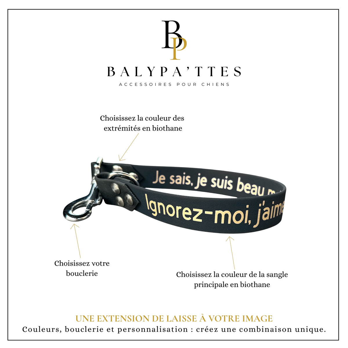 Extension de laisse personnalisée pour chien, unie en biothane, en 25mm