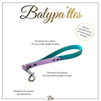 Poignée personnalisée pour chien, bicolore en hexa, en 20mm