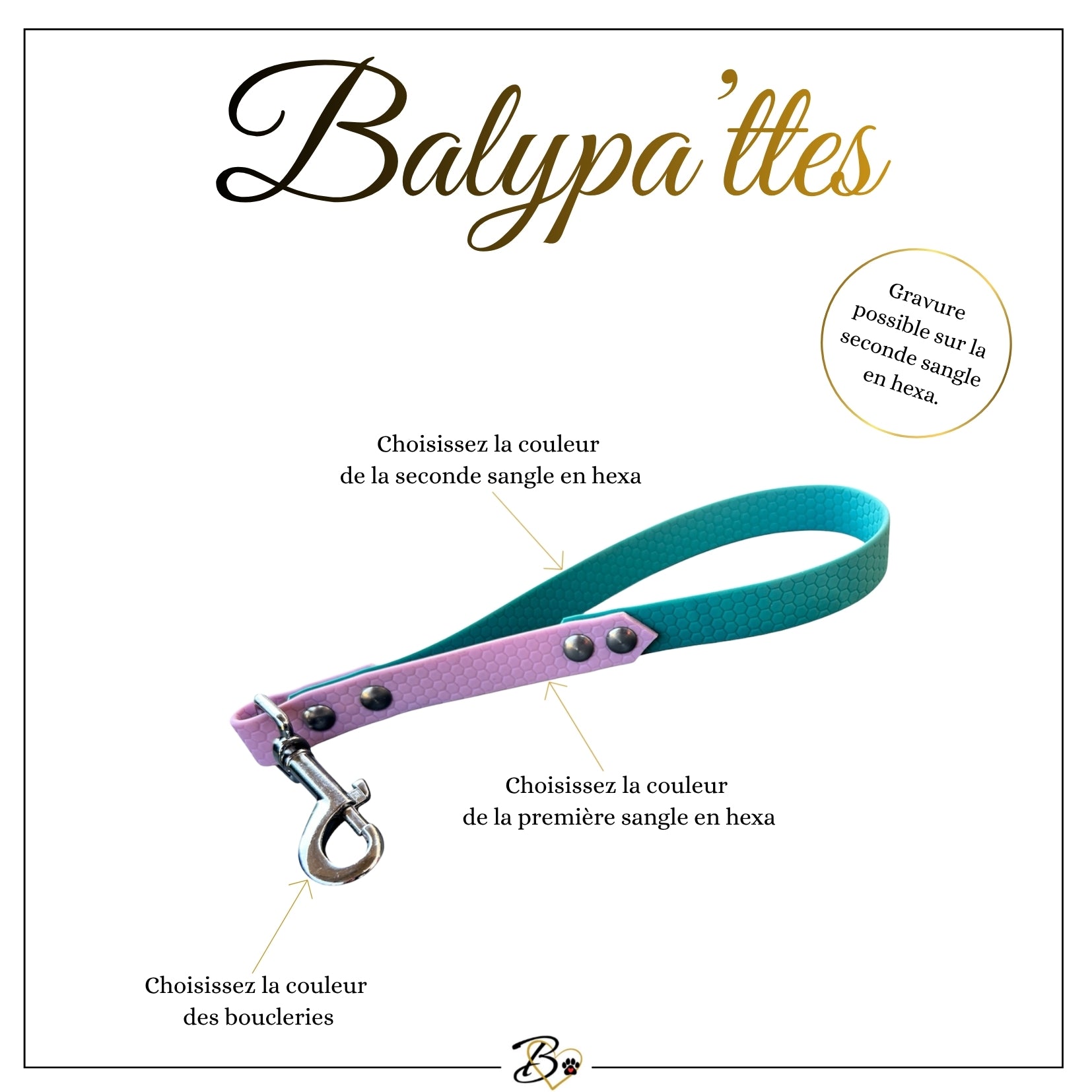 Poignée personnalisée pour chien, bicolore en hexa, en 20mm