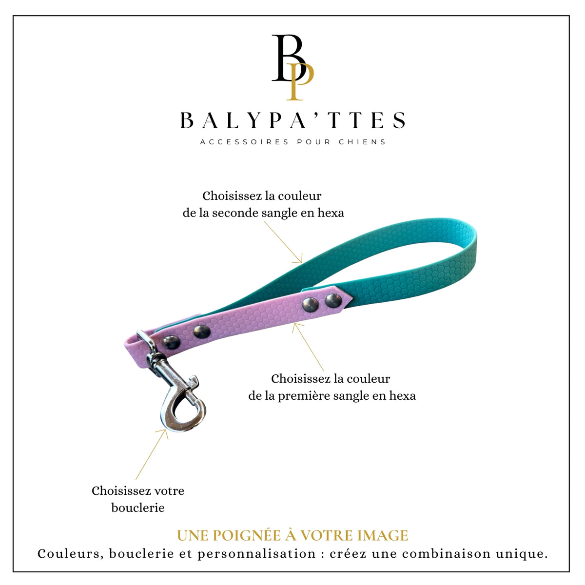Poignée personnalisée pour chien, bicolore en hexa, en 16mm