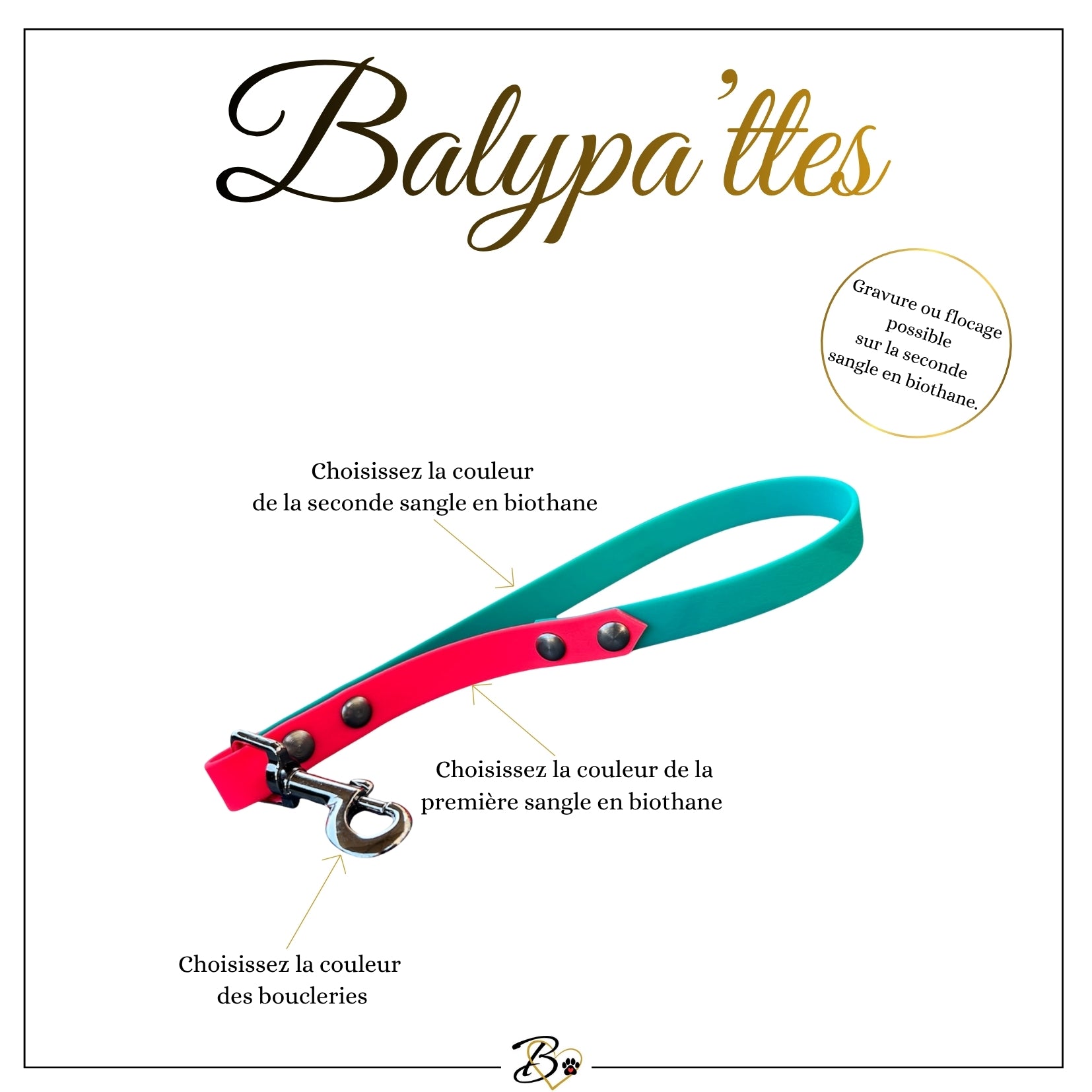 Poignée personnalisée pour chien, bicolore en biothane, en 25mm