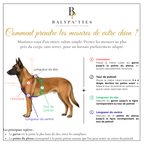 Harnais personnalisé pour chien, bicolore en biothane