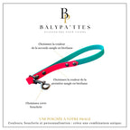 Poignée personnalisée pour chien, bicolore en biothane, en 25mm