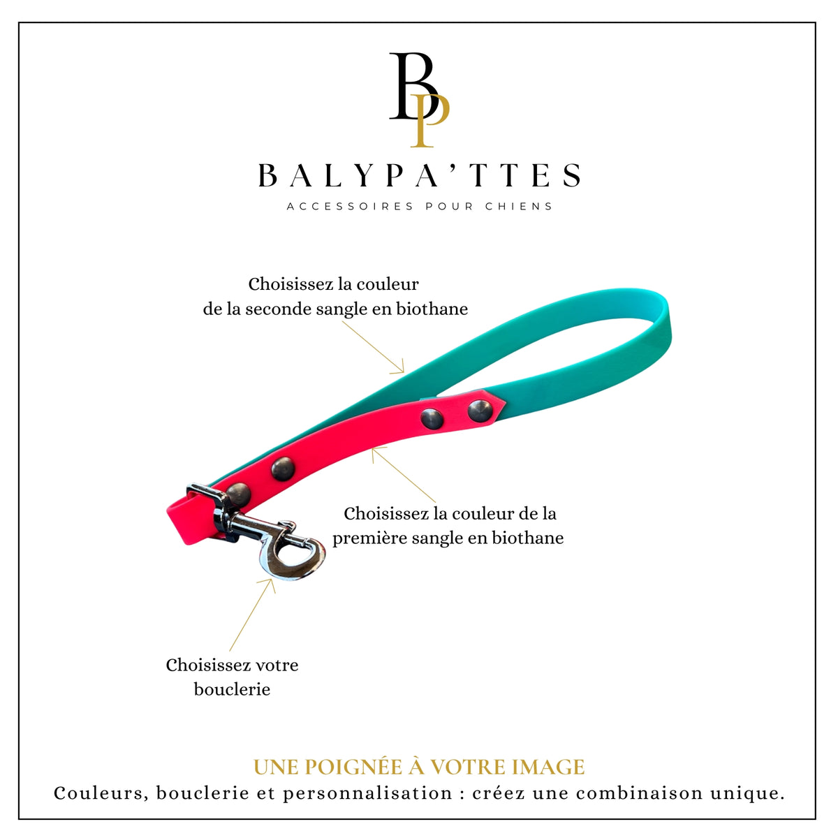 Poignée personnalisée pour chien, bicolore en biothane, en 25mm