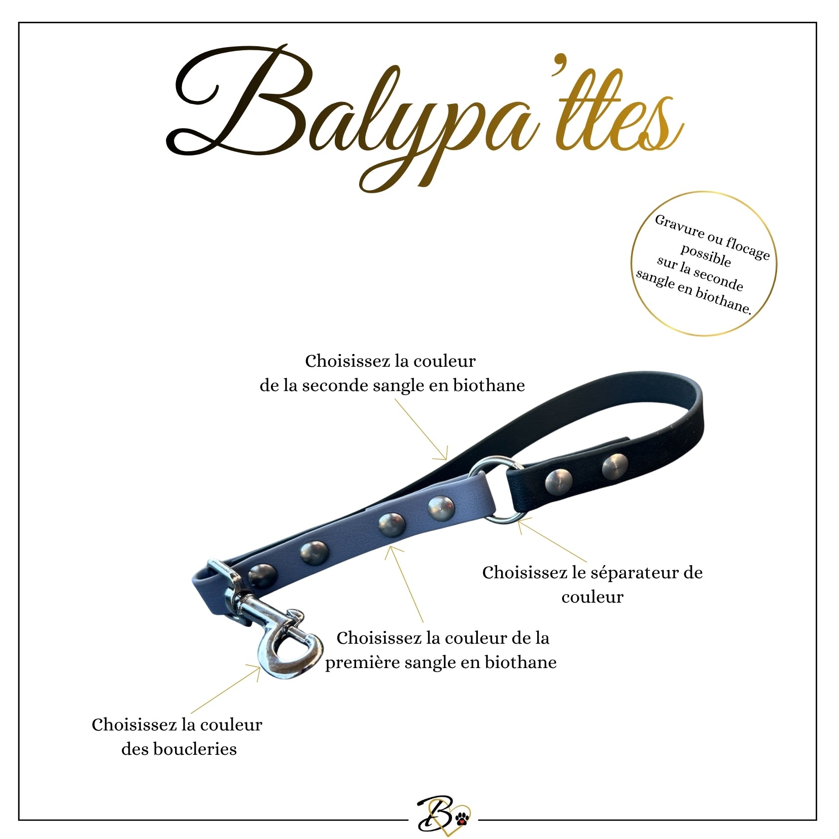 Poignée personnalisée pour chien, bicolore en biothane avec séparateur, en 19mm