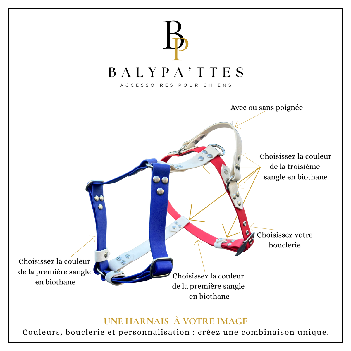 Harnais personnalisé pour chien, tricolore en biothane