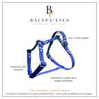 Harnais personnalisé pour chien, uni en biothane