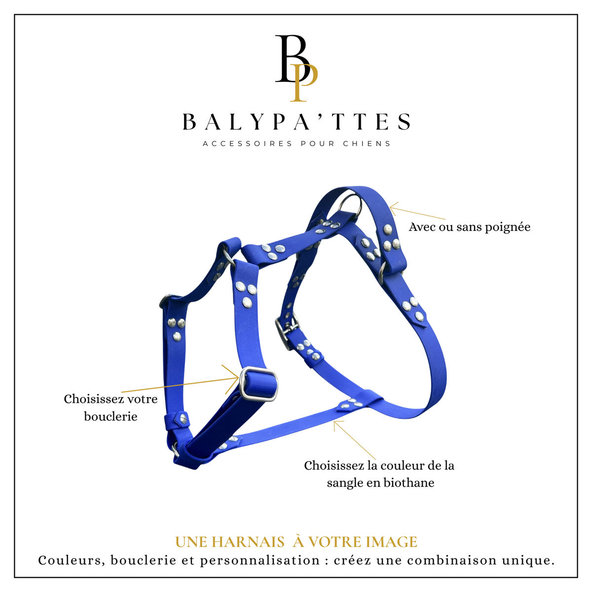 Harnais personnalisé pour chien, uni en biothane