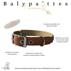 Collier bicolore LASKO en biothane 19mm