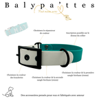 Collier bicolore MAYA en biothane 25mm