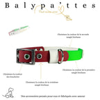 Collier tricolore SAIKO en biothane 19mm