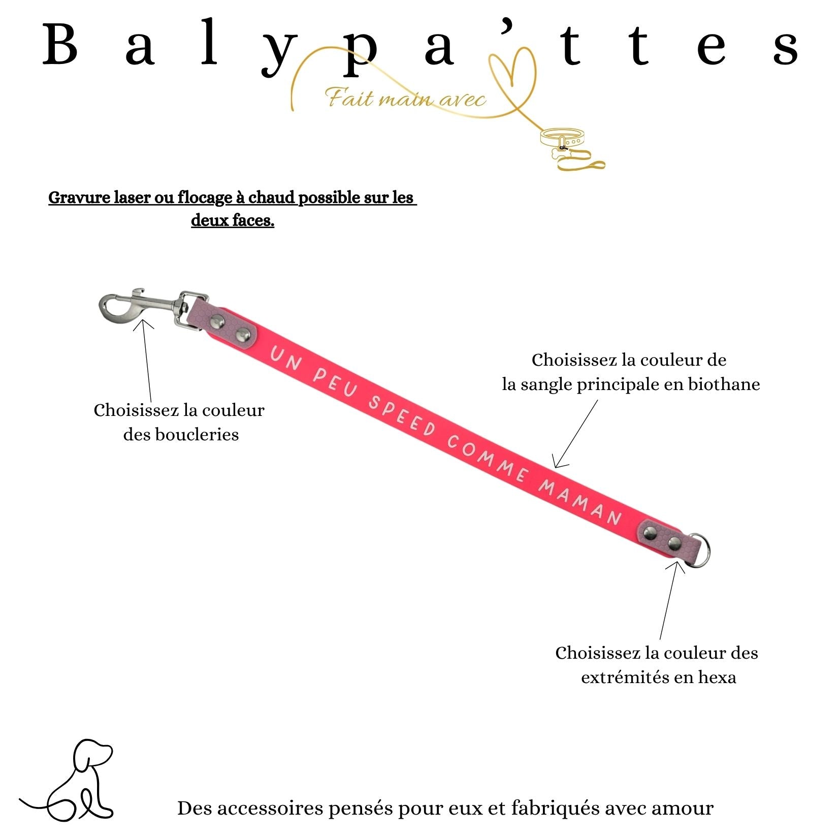 Extension de laisse bi-matière