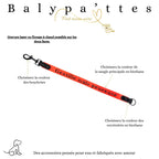 Extension de laisse en biothane