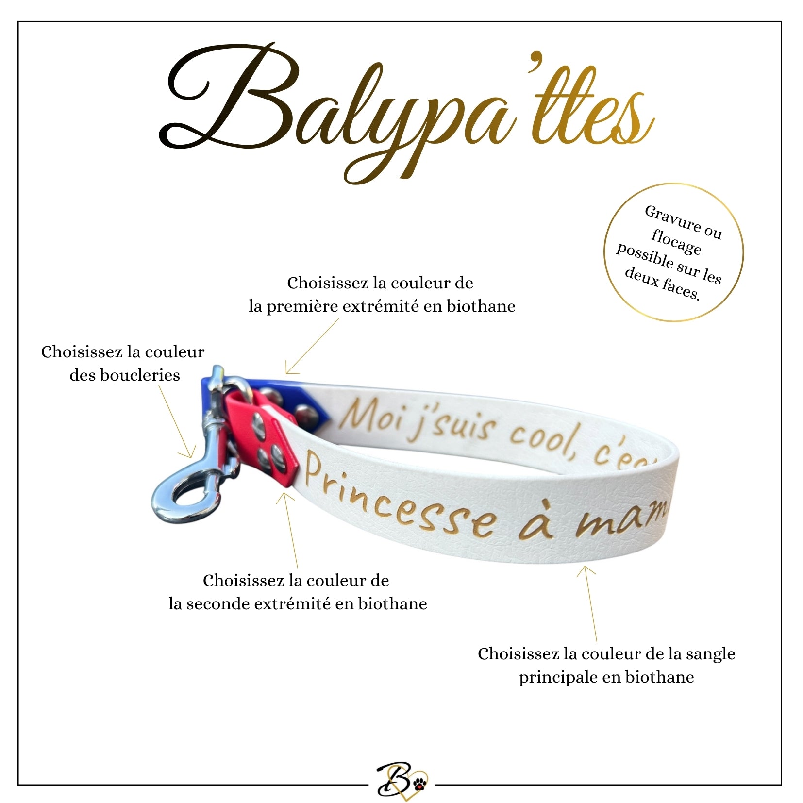 Extension de laisse personnalisée pour chien, tricolore en biothane, en 25mm