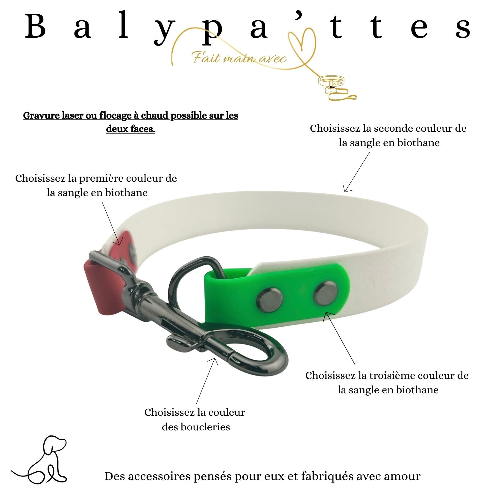 Extension de laisse tricolore en biothane