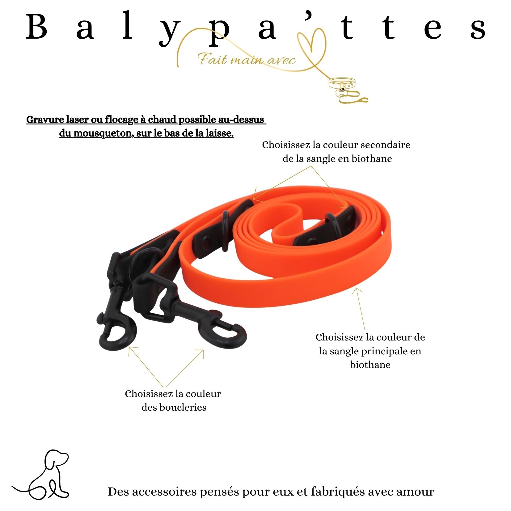 Laisse 3 points bicolore en biothane