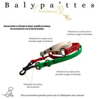 Laisse 3 points tricolore en biothane