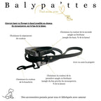 Laisse bicolore en biothane 16mm