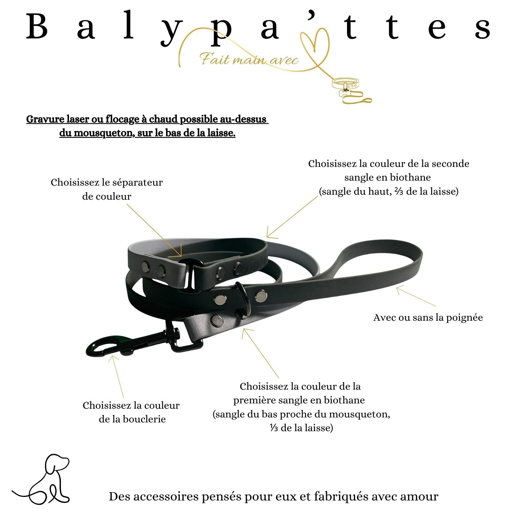 Laisse bicolore en biothane 16mm