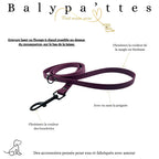 Laisse en biothane 19mm