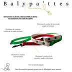 Laisse tricolore en biothane 16mm