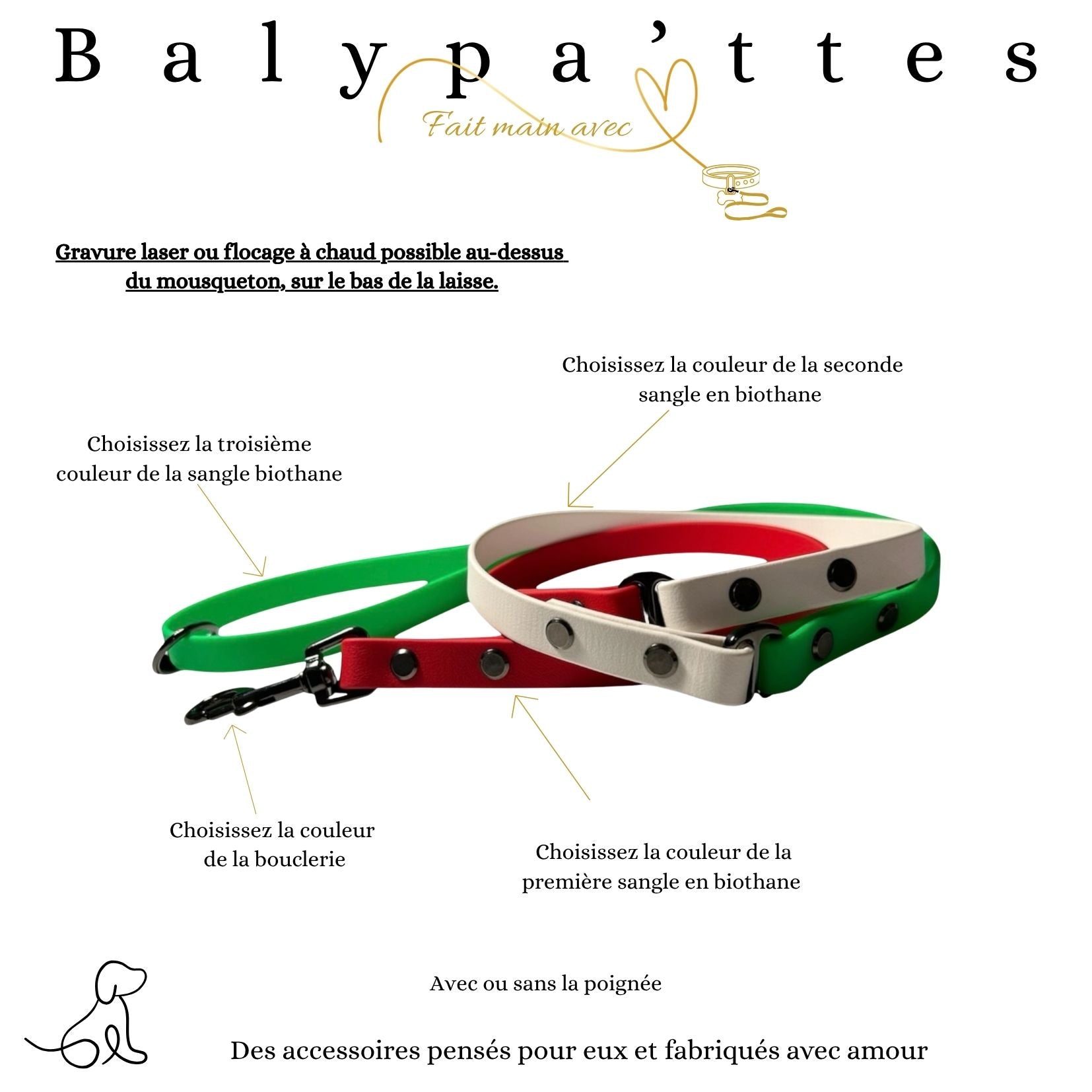 Laisse tricolore en biothane 16mm