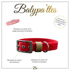 Collier personnalisé pour chien en biothane BLUE'MA, en 38mm