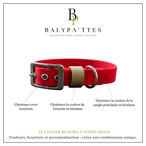 Collier personnalisé pour chien en biothane BLUE'MA, en 16mm