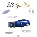 Collier personnalisé pour chien en biothane HERA, en 25mm