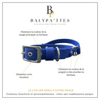 Collier personnalisé pour chien en biothane HERA, en 25mm