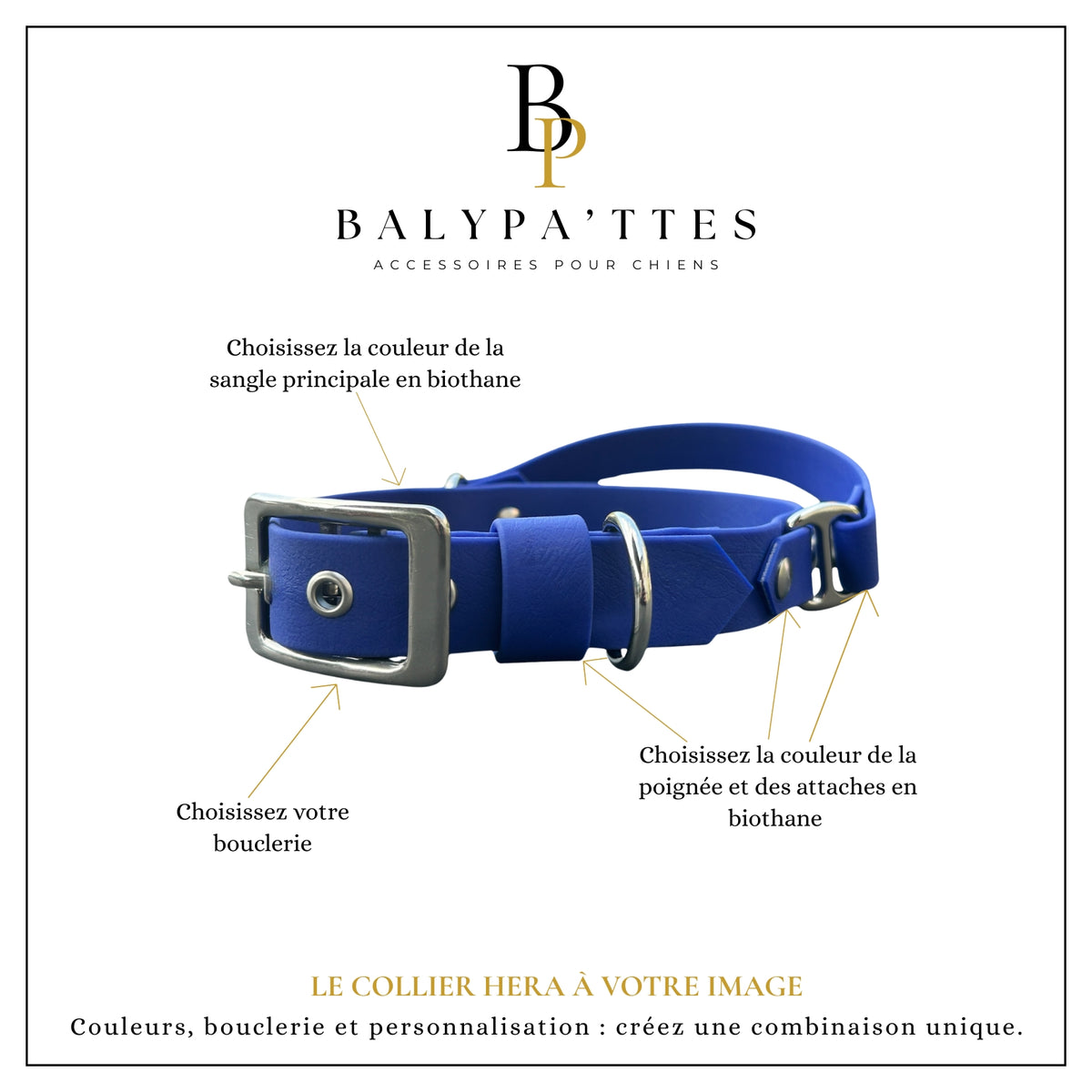 Collier personnalisé pour chien en biothane HERA, en 25mm
