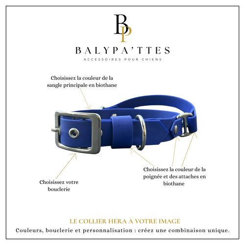 Collier personnalisé pour chien en biothane HERA, en 16mm