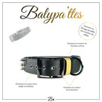 Collier personnalisé pour chien en biothane LAÏCO, en 38mm