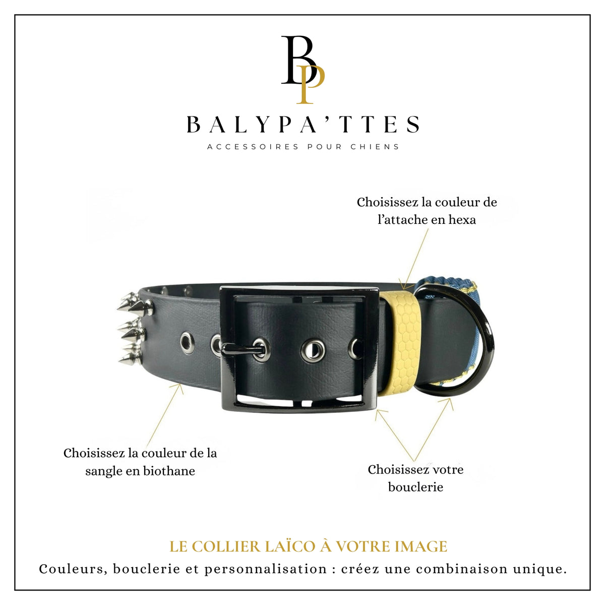 Collier personnalisé pour chien en biothane LAÏCO, en 38mm
