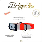 Collier personnalisé pour chien en biothane MAYA, en 25mm